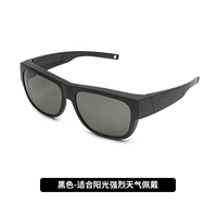 Чернополяризованная модель