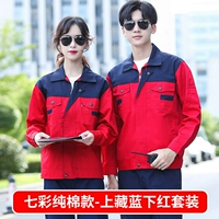 Красочный хлопковой шипзанг синий нижний красный набор