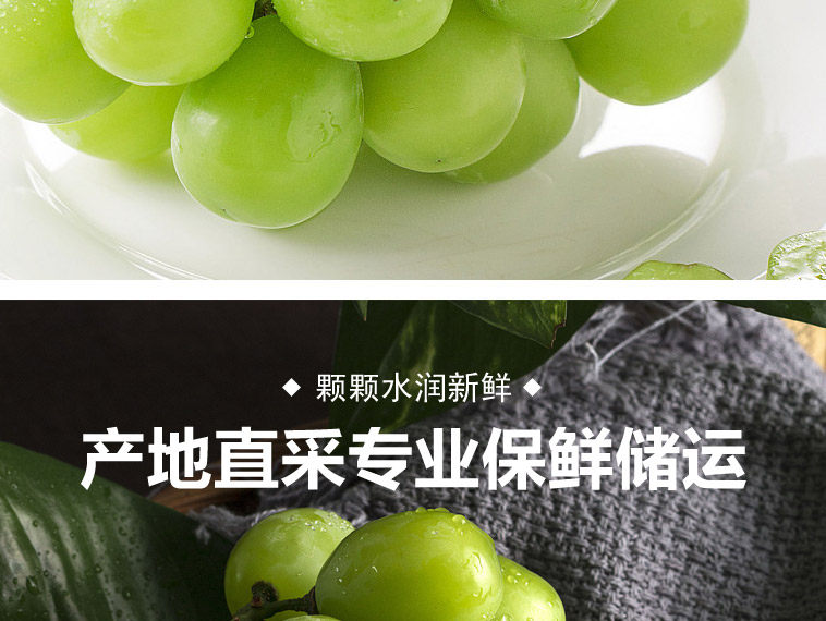 Японский зеленый виноград_06.jpg