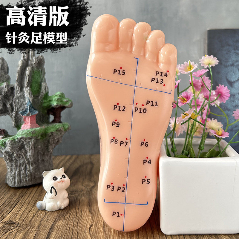 高清版针灸足穴位模型足部穴位模型脚底穴位模具足部针灸穴位模型