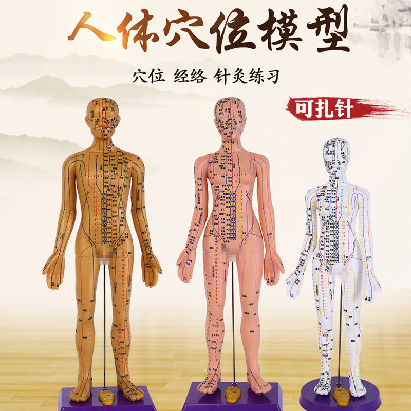 可扎针软模型中医针灸人体穴位模型全身男女小铜人模超清晰刻字版