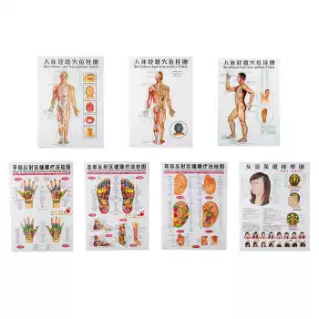 Acupoint wall chart Standard human meridian meridian chart Full set of 7 health massage reflex area wall chart Chinese-English comparison