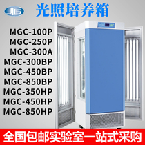 Shanghai Yiheng Light Incubator Laboratory Plant Cultivation Environment Simulation Microbial Box MGC-100P