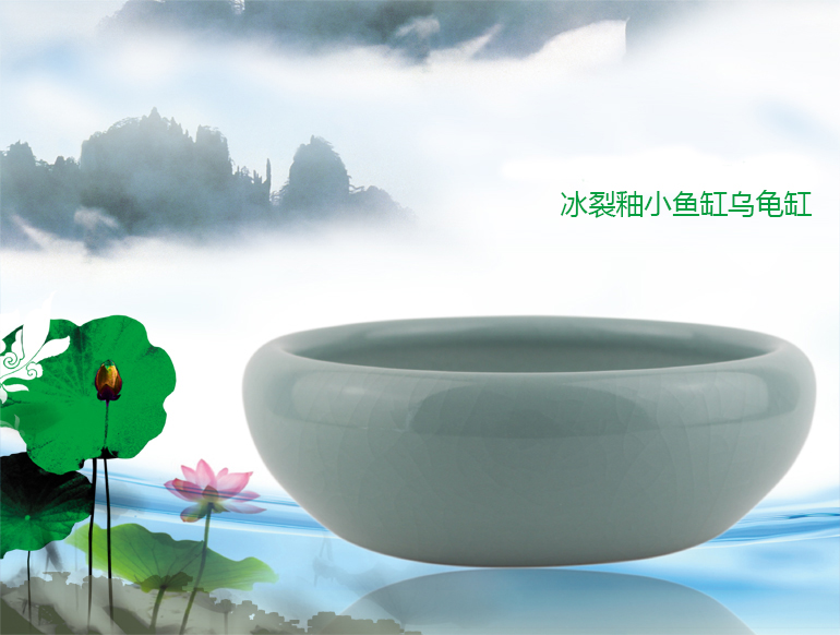 Strong sequence of jingdezhen ceramic water shallow small tortoise cylinder crackle creative China decoration household act the role ofing is tasted