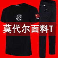 Современная Qin T -Fore+Special War Lummer Starns