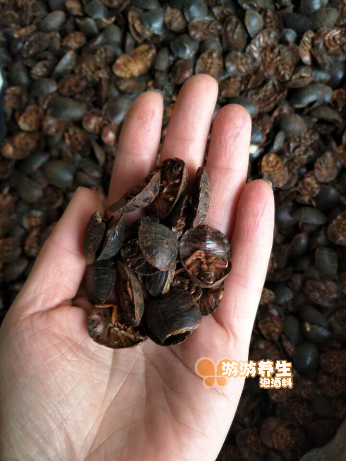Soil yuan Chinese herbal medicines dry soil yuan soil turtle worm soil turtle seed non soil yuan powder soil yuan dry 50g