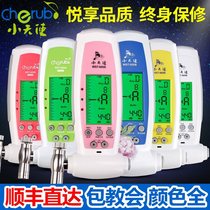 Special WST-600B Guzheng Tuner Guzheng Tuning Sound Tuning Wrench One