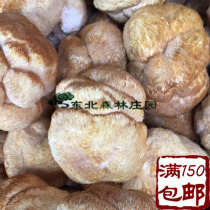 Changbaishang special production of high - quality monkey head pure dry products northeast forest estate