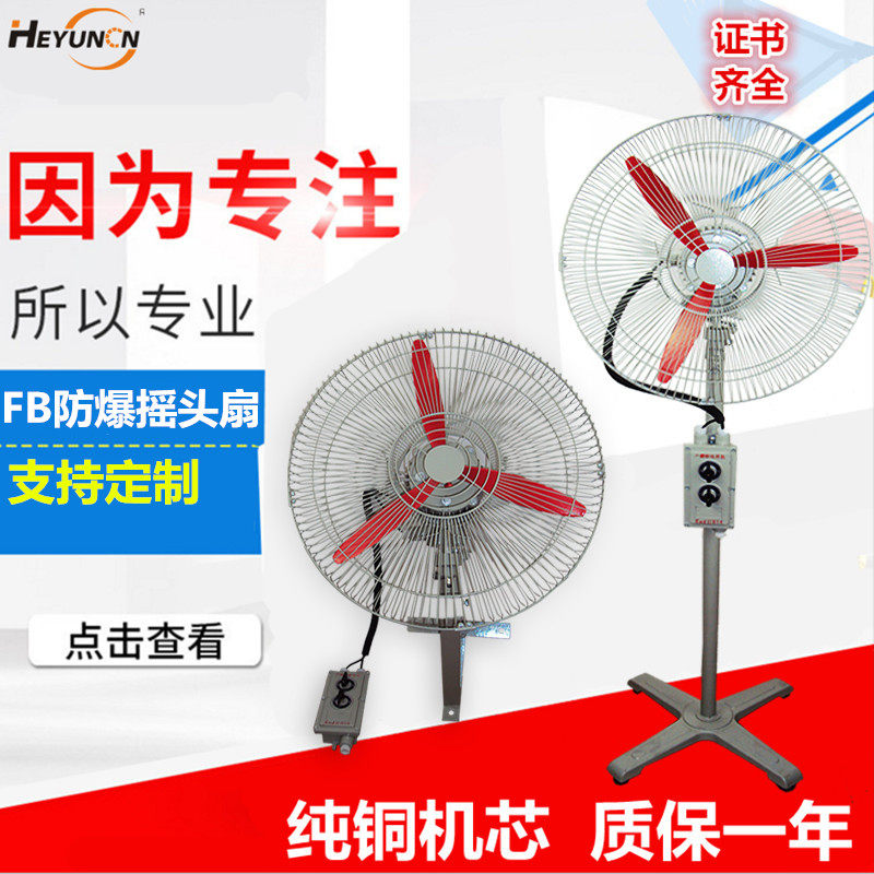 Explosion-proof moving head fan BTS-750 explosion-proof wall-mounted fan FB-750 explosion-proof industrial exhaust fan 220V