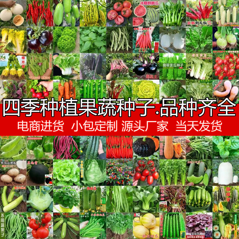Wholesale Four Seasons Vegetable Seeds Complete Indoor and