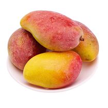 Hainan Guifu Mango Rainbow Mango and Little Princess 8 kg