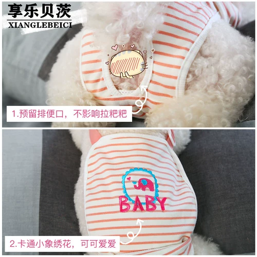 Batterfuni Физиологические штаны Тедди Шерина Кение Мужская собака тетя