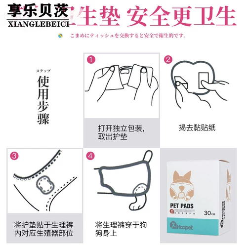 Batterfuni Физиологические штаны Тедди Шерина Кение Мужская собака тетя