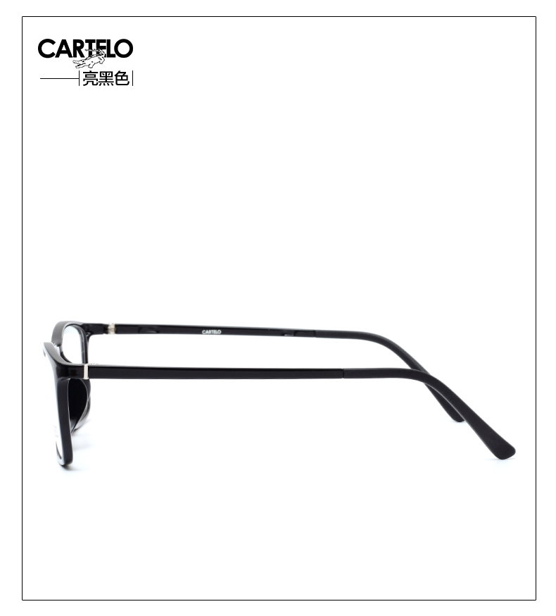 Montures de lunettes CARTELO      en Memoire plastique - Ref 3141203 Image 26