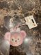 Hong Kong Disneyland Duffy Shelliemay Linabell Olu Luggage Tag Mirror Portable Carry-On Accessory