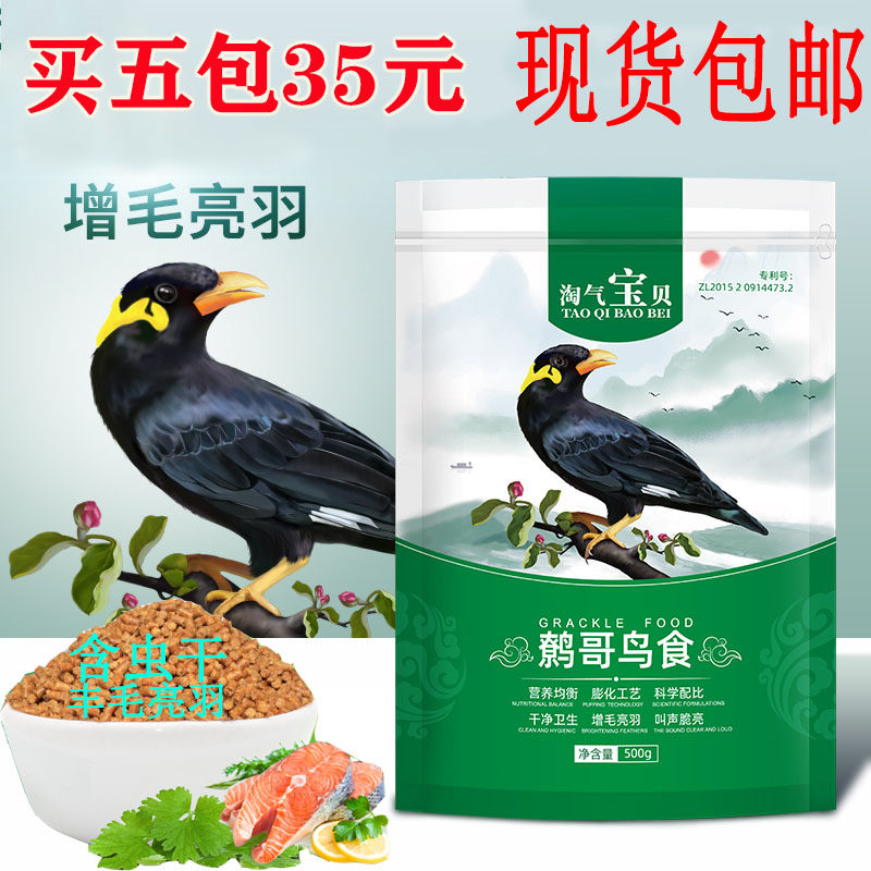 Bird-eating bird feed naughty baby boutique brother di brother, brother, brother, feed Magpie grain