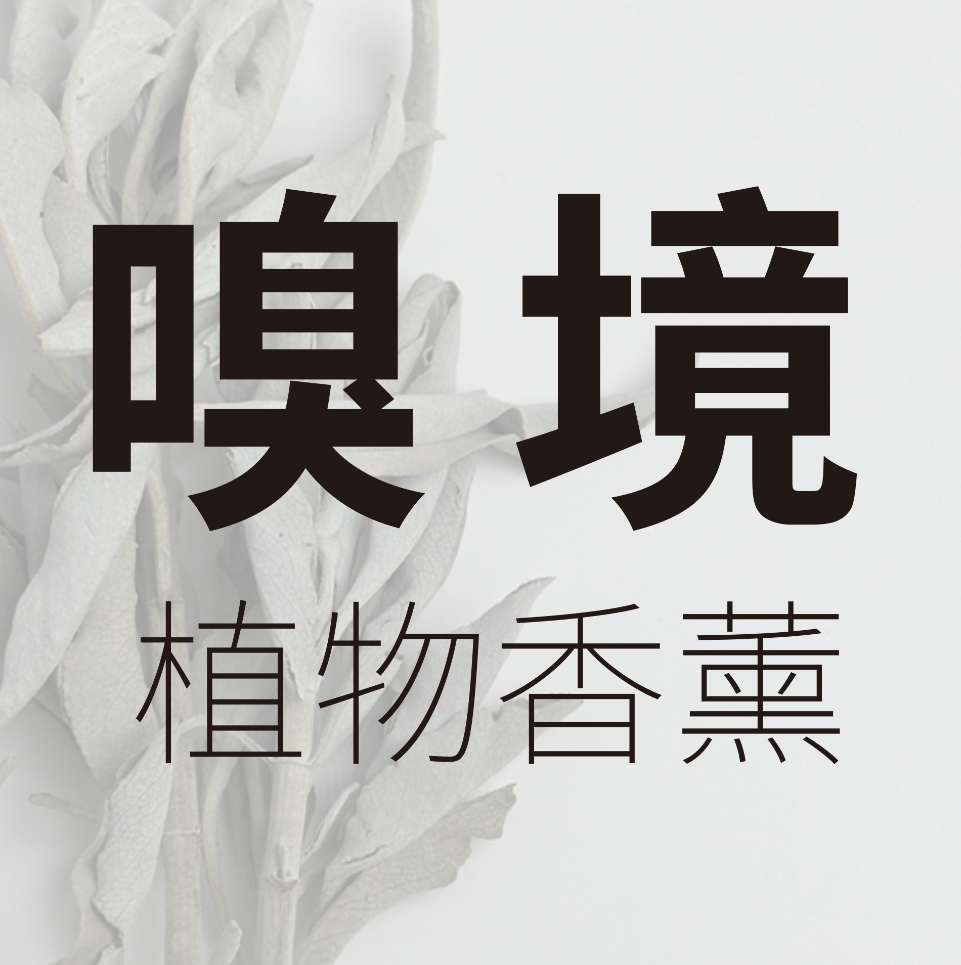 嗅境