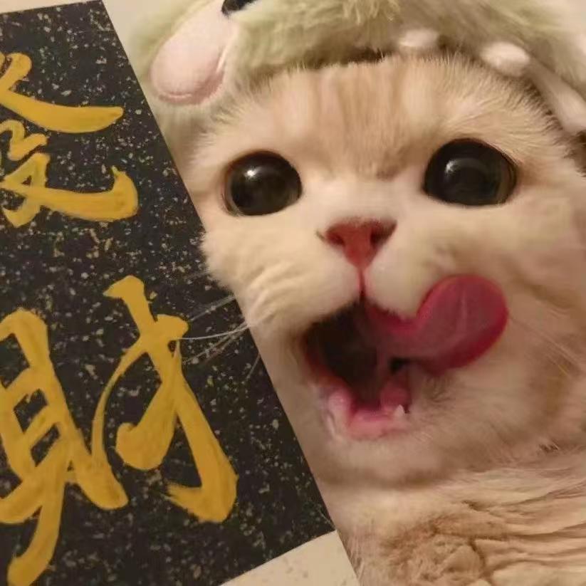 Luhe鹿禾 亲子装童装