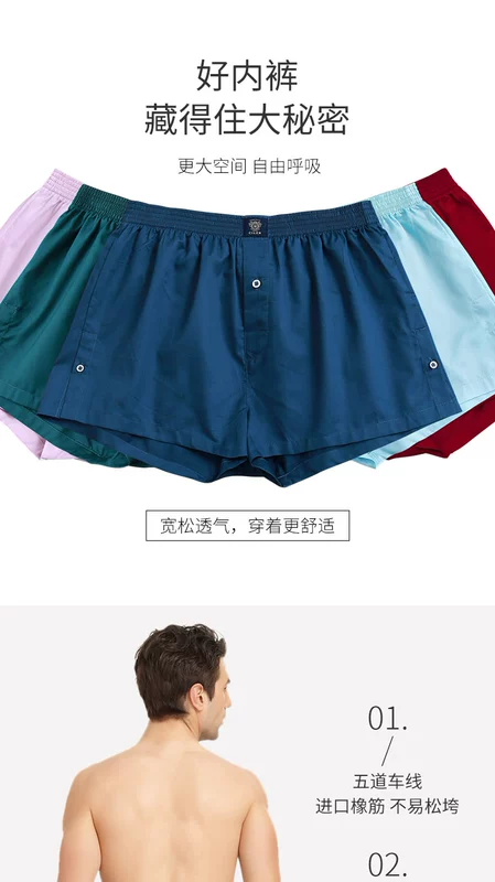 Shile đồ lót nam boxer cotton mỏng XL quần short cotton bốn góc quần short đầu nam - Giống cái