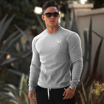 Muscle boy sports sweater mens round neck long-sleeved sweat-absorbent fitness pullover spring and autumn cotton thick bottoming shirt