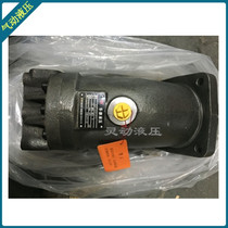 AVIC Liyuan variable piston pump motor L6V160 225 250 468ESDFZ inclined axis piston pump