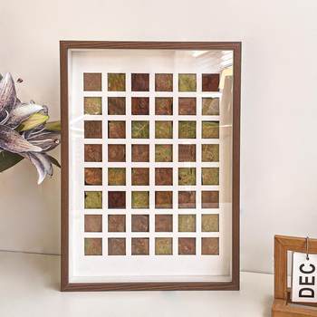 Specimen three-dimensional decorative paintings plant leaves dried flowers and dried fruits forest photo frame wall ins desktop handmade diy