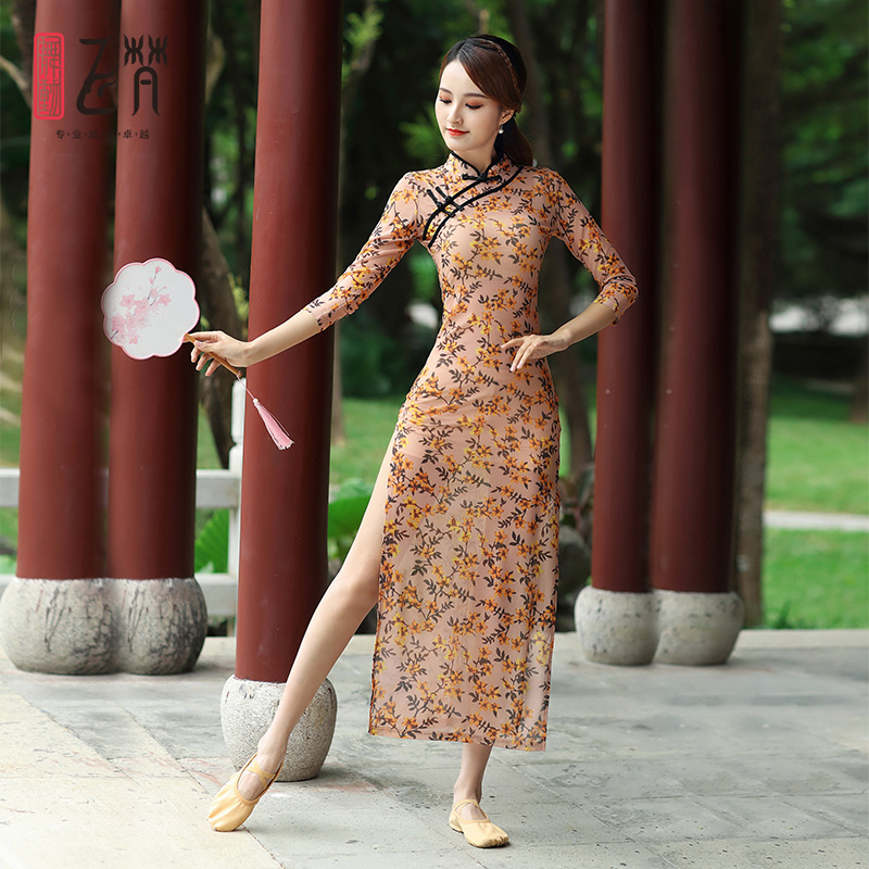 Classical Dance Clothes Spring and Summer Ancient Fashion Dance Bangrobe New Female Trainer Dance Dress
