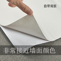 Projection Curtain Wallpaper Self-Adhesive Anti-Light Projector Curtain Wall Sticker Wallpaper Matte Matte Wall Sticker Wallpaper Projector