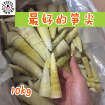 Frozen thunder bamboo shoots tender bamboo shoots hotel-specific tender bamboo shoots 10kg pieces FCL Jiangsu Zhejiang Shanghai and Anhui