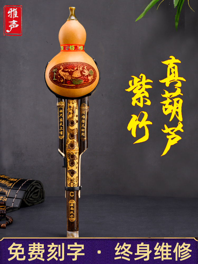 Zizhu double-tone gourd silk Beginner B tune C tune Small d professional performance G F tune Adult beginner Zero-based student