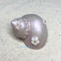 Resident crab hand-made replacement shell fantasy small flower sea screw shell DIY decoration