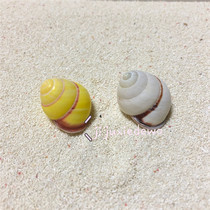 Soybean sea shell inhabited crab bean white replacement shell aquarium aquarium decoration