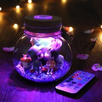 Glowing ocean bottle handmade underwater world DIY material bag lucky bottle wishing bottle Star bottle crystal ball