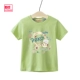 Fuji Milk Girl 1 Matcha Green