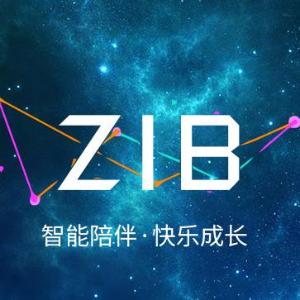 ZIB智伴商城