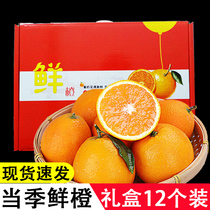 (Exquisite gift box)Lun Night navel oranges fresh fruit large fruit 12 net 6 pounds very sweet