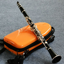 Taiwan atesen Atesen 100 clarinette noire clarinette descendante B tonalité 17 corps tube ABS bouton argenté