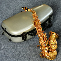 Taiwan OEM atesaen atesaen atsen 100 series Drop B small elbow treble children saxophone children adult