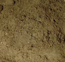 1 pound gourd hit the bottom triad black worm live oil gourd crickets live crickets tank hit the bottom