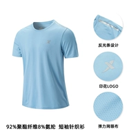 (Быстросохрающая версия) Misty Blue - Logo Model 1