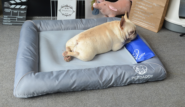 Chó mèo tổ pad mùa hè mùa hè mát mẻ có sẵn tất cả có thể tháo rời kennel băng pad vật nuôi pháp luật xô cung cấp - Cat / Dog hàng ngày Neccessities Bình nước cho chó
