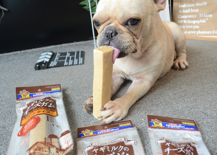 Nhật Bản Multi-Gold Diamond Cheese Stick Pet Molar Stick Dog Dog Canxi Làm sạch răng Dinh dưỡng Cắn chó Ăn vặt - Đồ ăn vặt cho chó thức an cho chó bao 20kg