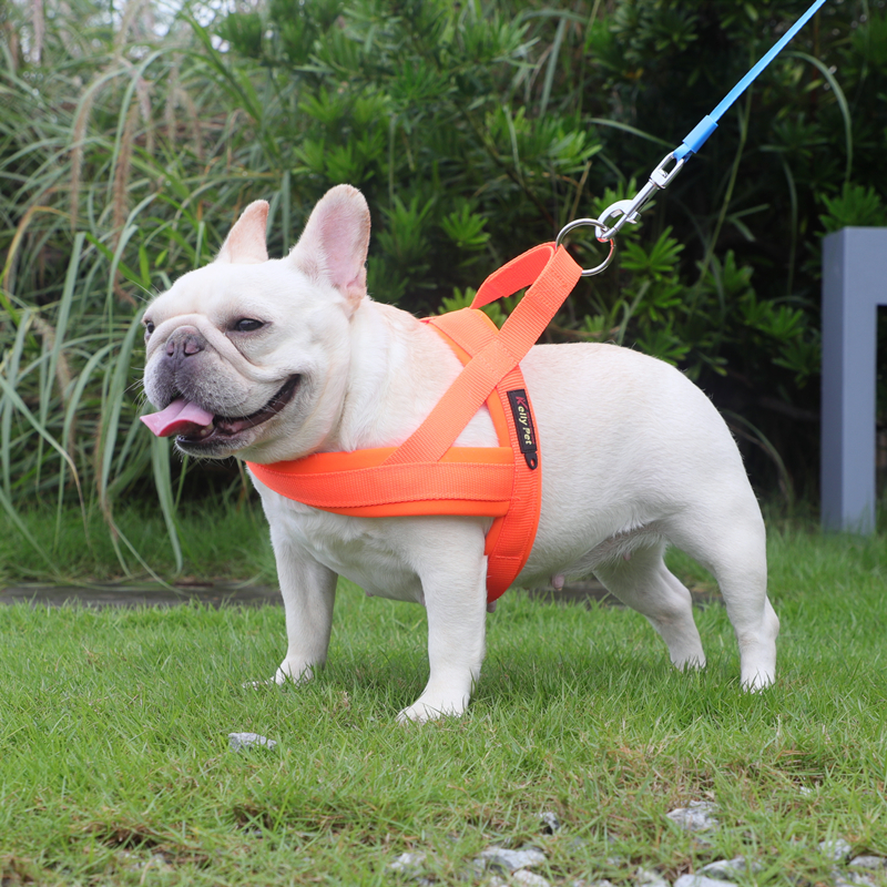Night Light Dog Traction Rope Walking Dog Rope Vest Style Holding Baby Bag Type Small Dog Medium Teddy Fou Chest Back Pet Supplies