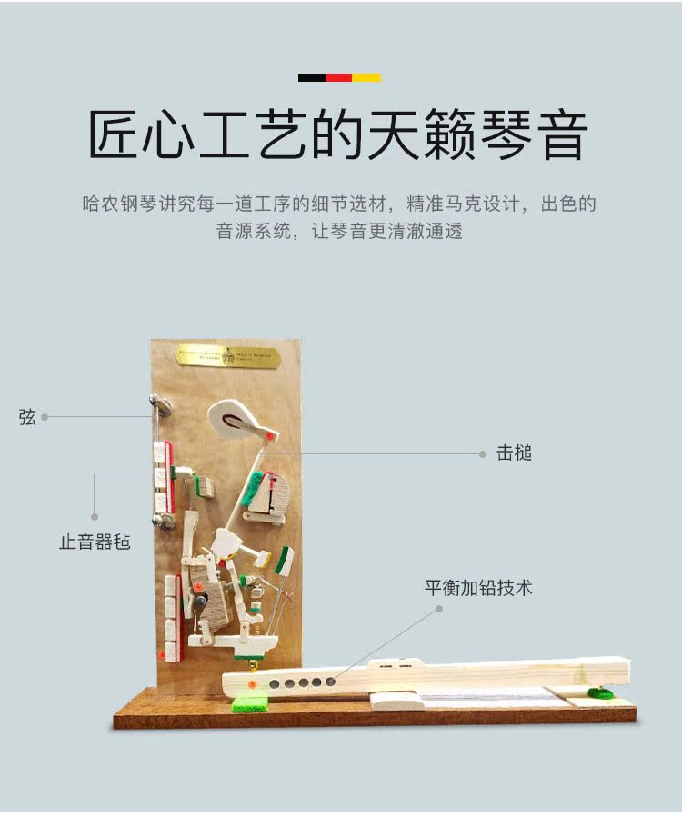 Harnon hoàn toàn mới - dương cầm piano điện