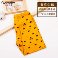 Желтая самок желтого пингвина