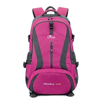 Красная роза