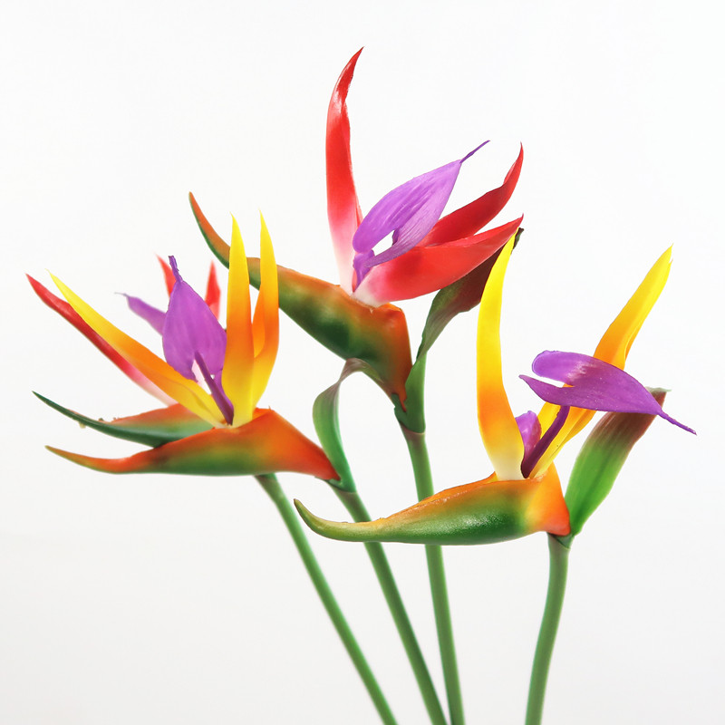 Simple Nordic style high-quality feel simulation bird of paradise flower leaves home living room floor decoration decoration fake flower