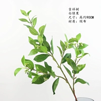 Благоприятное дерево