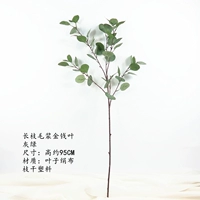 Чангжи шерстяное золото