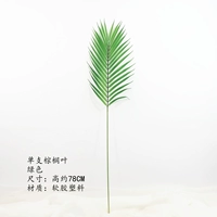 Одиночный пальмовый лист